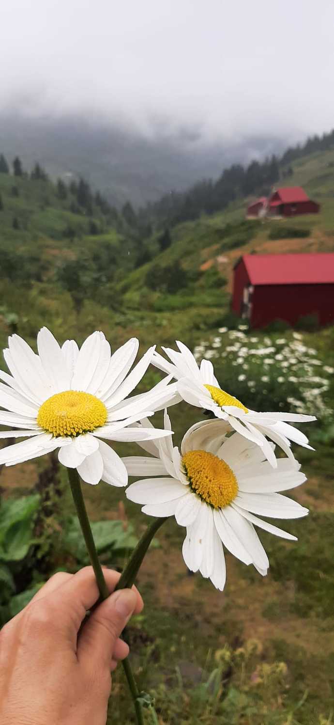 Memleketinde görülmesini tavsiye ettiğin en güzel yer neresi?