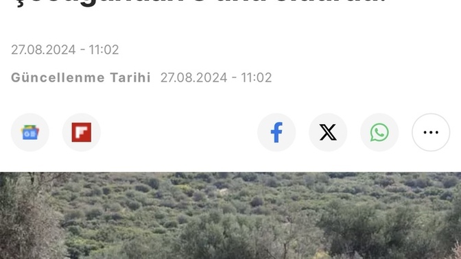 İnsanların cinnet geçirmesi normalleşti mi artık sizce?