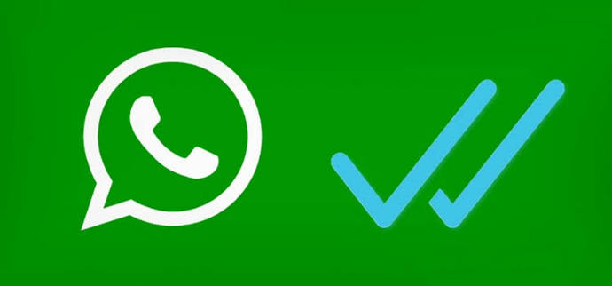 WhatsApp mavi tik
