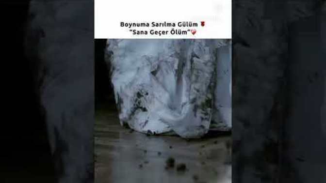 Sevmek bu mu gerçekten?