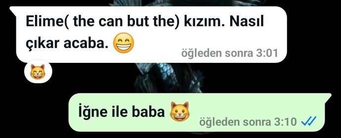 Babaya "Naber" demek saygısızca mıdır ?