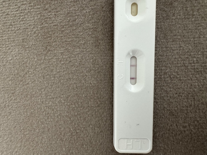 Ovulasyon testi pozitif mi? ğ?