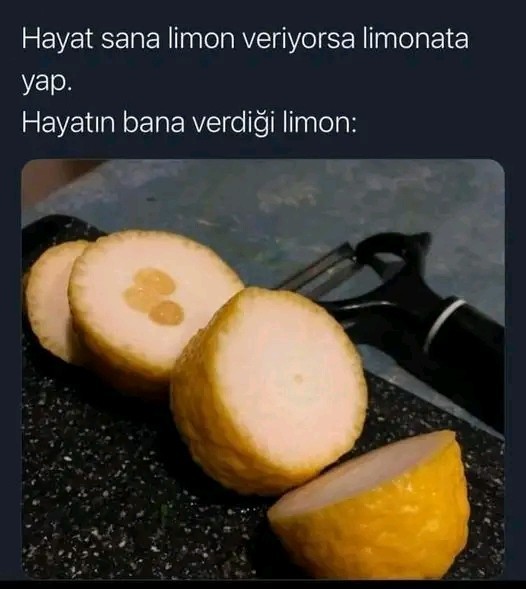 Hayat size bir şey verdi mi?