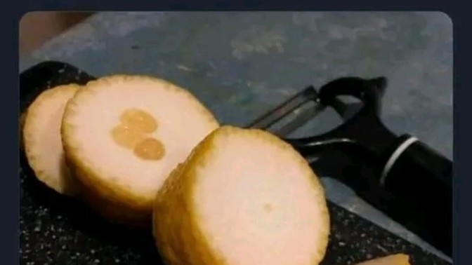 Hayat size bir şey verdi mi?