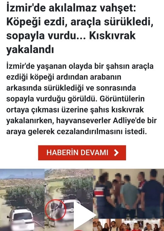 İnsan olmayı ne zaman öğreneceğiz?