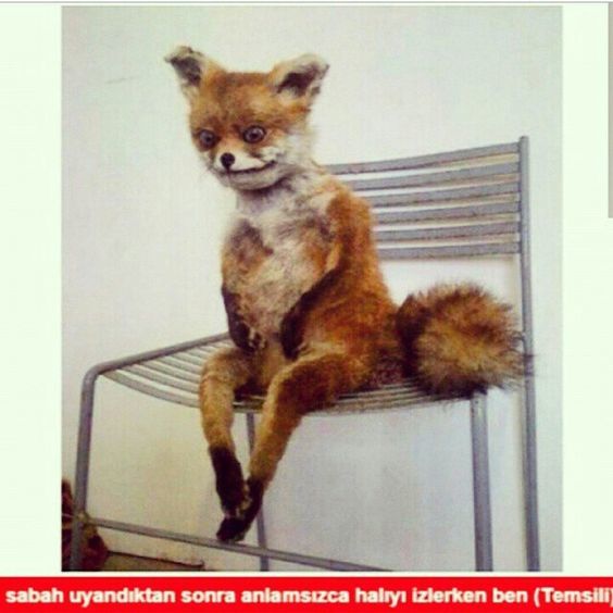 Bu sabah seni uyandıran maaşının gücü mü yoksa günün güzelliği mi?