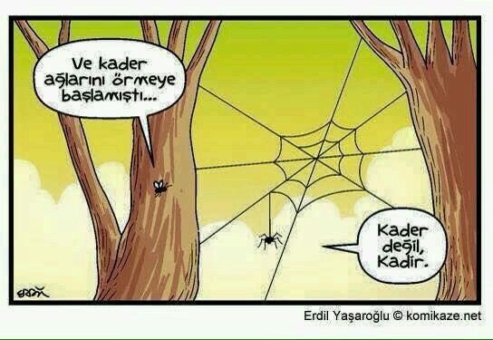 Tövbe dedğiniz neler var hayatınızda?