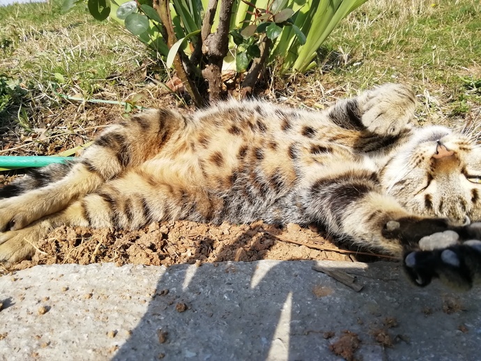 Aşkla baktığınız birisi var mı?