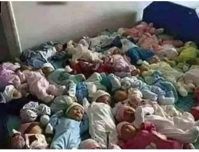 Komşum taşınacak ev bulana kadar bu küçük aileyi ağırlayabilecek bir yiğit var mı?🤭🤭🤭🤭?
