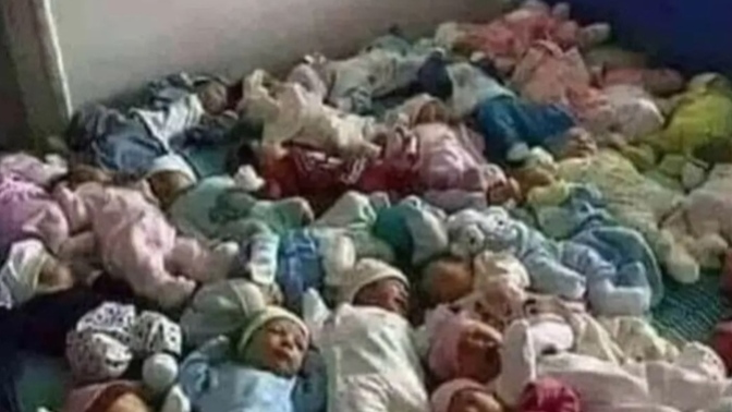 Komşum taşınacak ev bulana kadar bu küçük aileyi ağırlayabilecek bir yiğit var mı?🤭🤭🤭🤭?