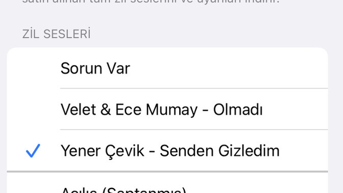 Hangi zil sesi var telefonunuz da şuanda?
