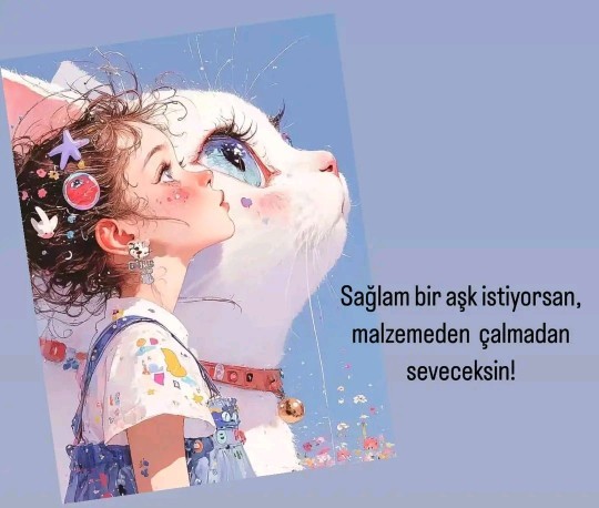 Neden insanlar yerini yadırgayıp yarı yolda bırakırlar?
