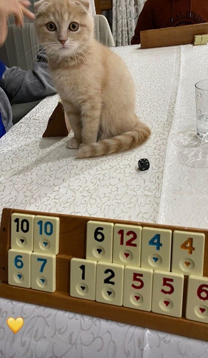 101 okey mi yoksa düz okey mi tercih edersiniz?