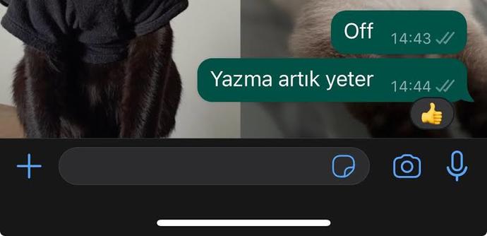 Sevgilisi kızdığındasakın bana yazma! diyince yazmayan erkeğe ne denir?