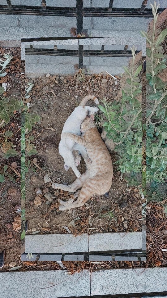 Çektiğiniz en son fotoğrafı buraya atar mısınız?