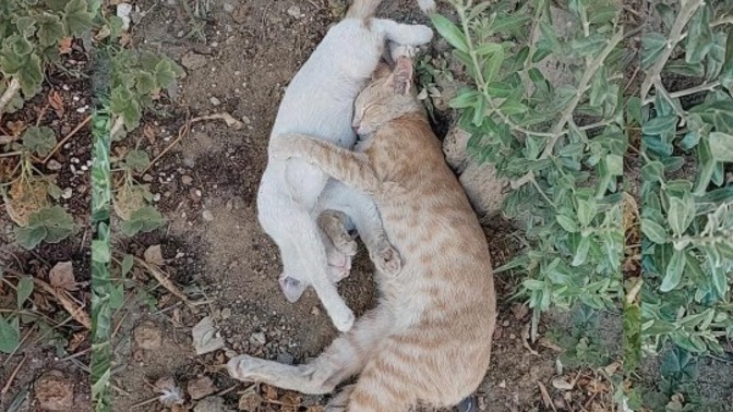 Çektiğiniz en son fotoğrafı buraya atar mısınız?