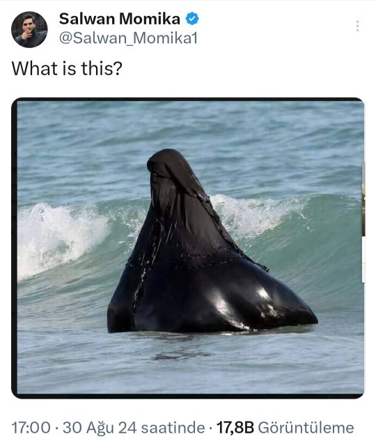 Hic siyah inci gordunuz mu?