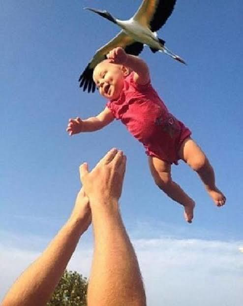 Ablamın anlattığına göre beni küçükken buradan bulmuşlar, sizi nerden buldular peki? ne hikayeler duydunuz dökülün🤭🤭🤭?