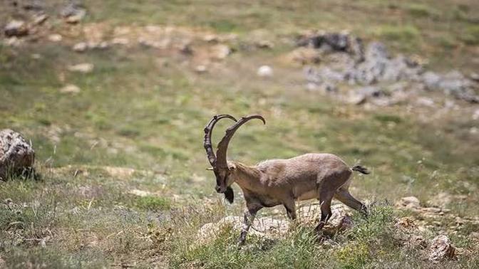 Gerçekten rüya yorumundan anlayan var mı?