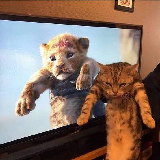 Mutlaka izlemelisin dediğin film?