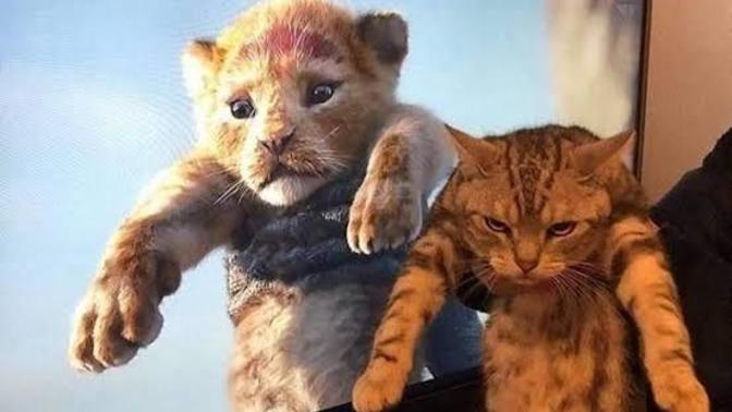Mutlaka izlemelisin dediğin film?