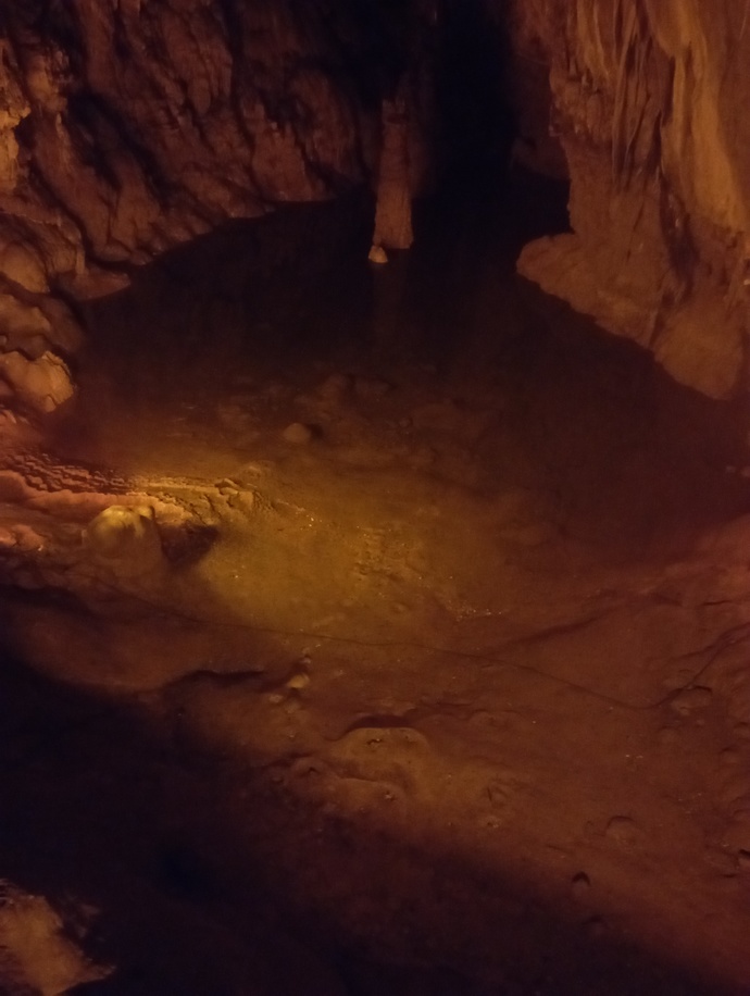 Vardığımız yerde küçük bir göletçik vardı. Girmek isterdim ama yasaktı o alan.