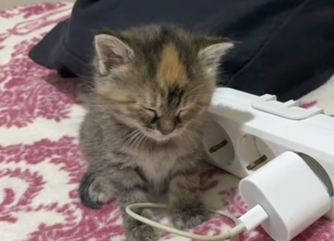 Yok uyumayacağım seni bekleyeceğim dediğin biri var mı?