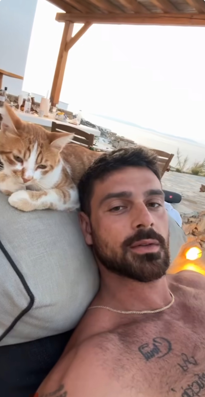 Bu kedinin yerinde olmak ister miydiniz?