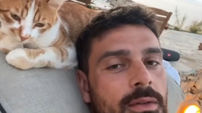 Bu kedinin yerinde olmak ister miydiniz?