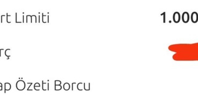 Sizce bu limiti düşüreyim mi?