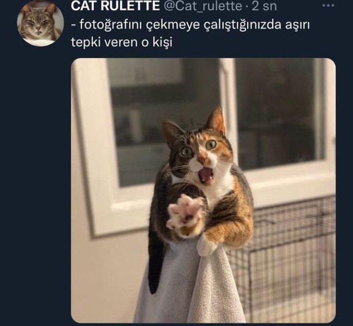 Arkadaşların habersizce senin fotoğrafını çekebilir mi?