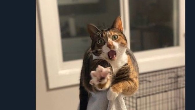 Arkadaşların habersizce senin fotoğrafını çekebilir mi?