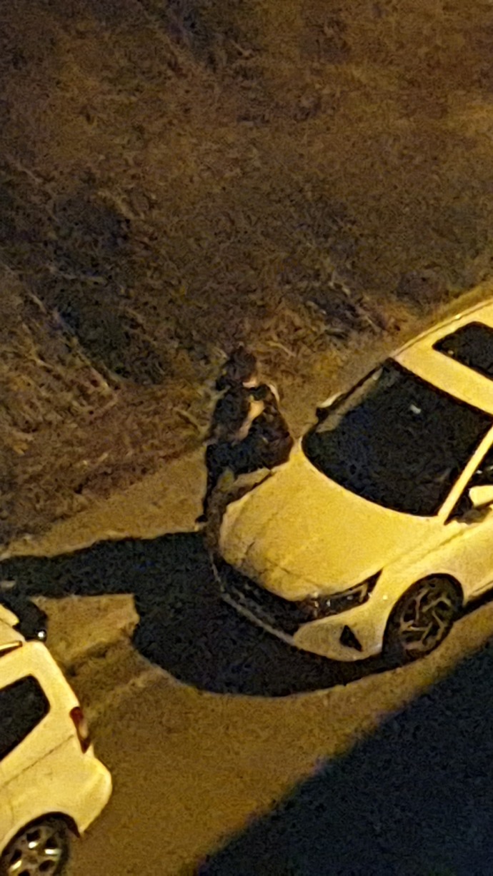 Sizin de canınız bazen sevilmek çekiyor mu 🤣?