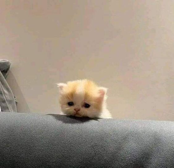Üzgün hissettiğinizde size iyi gelen şeyler nelerdir?
