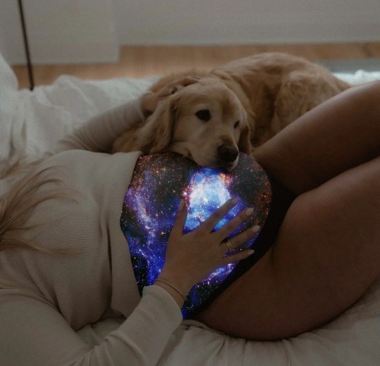 Köpekler mi daha sadık yoksa siz mi?