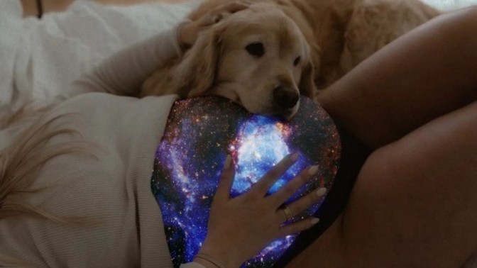 Köpekler mi daha sadık yoksa siz mi?