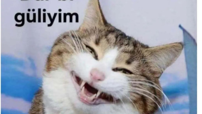 Güzel güler misiniz?