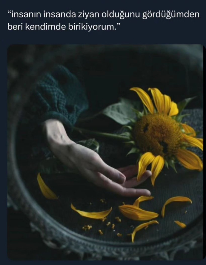 🍀☕
