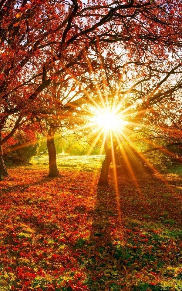 Son baharın gelişi sizi mutlu mu ediyor mutsuz mu?