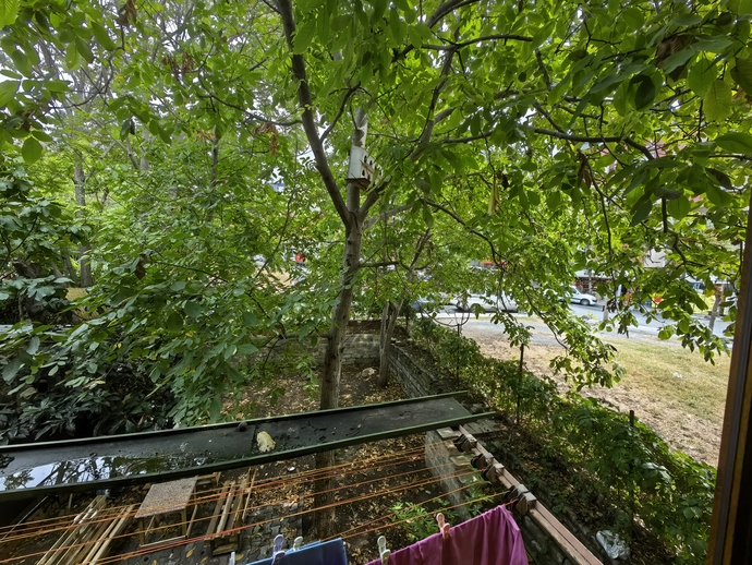Nerdesiniz ve sizin orada havalar nasıl?