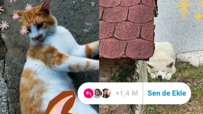 Senin için Ağustos ayı nasıldı?