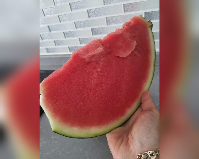Karpuzun iyisi çekirdekli mi yoksa çekirdeksiz mi olur?