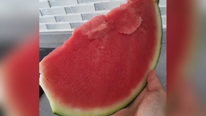 Karpuzun iyisi çekirdekli mi yoksa çekirdeksiz mi olur?
