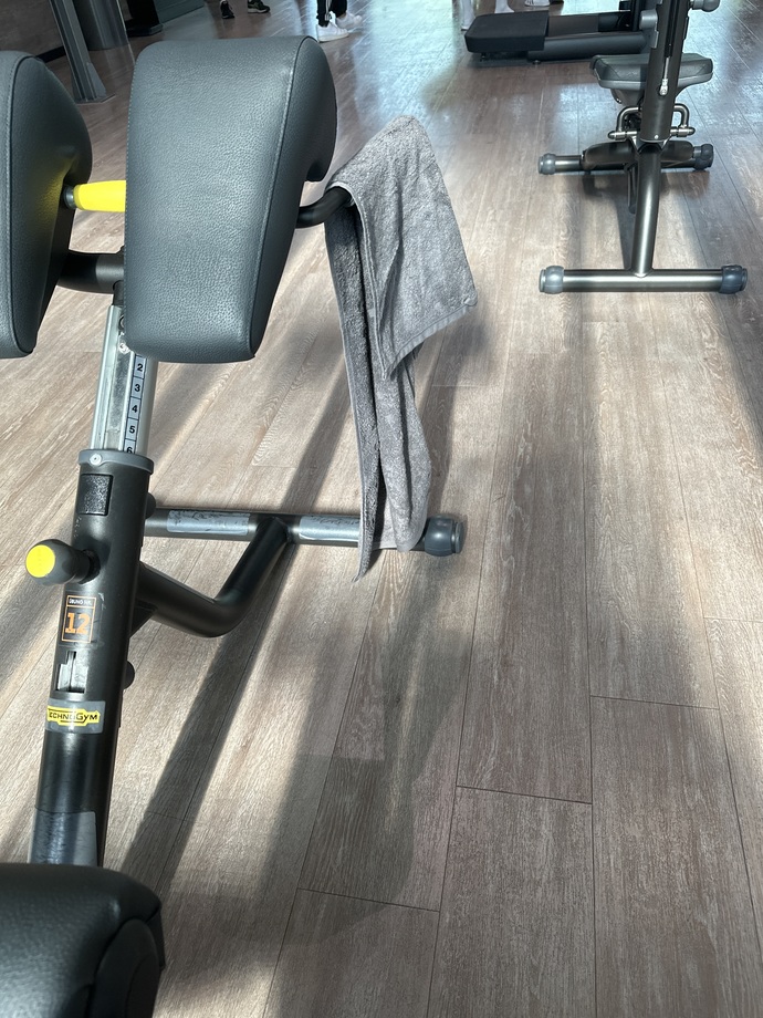 Spor