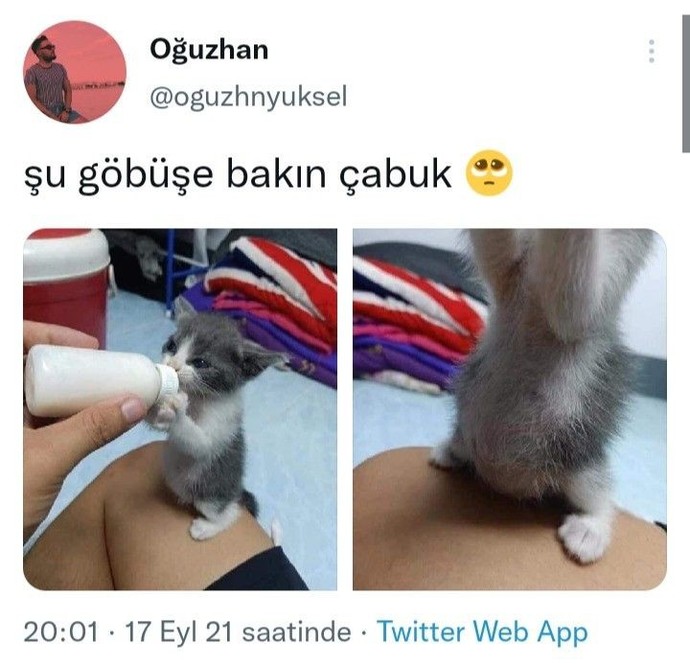 Yemek yiyince hemen göbüşünüz çıkar mı?