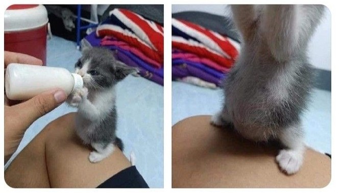 Yemek yiyince hemen göbüşünüz çıkar mı?