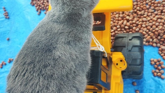 Ne yaparken mutlu oluyorsunuz?