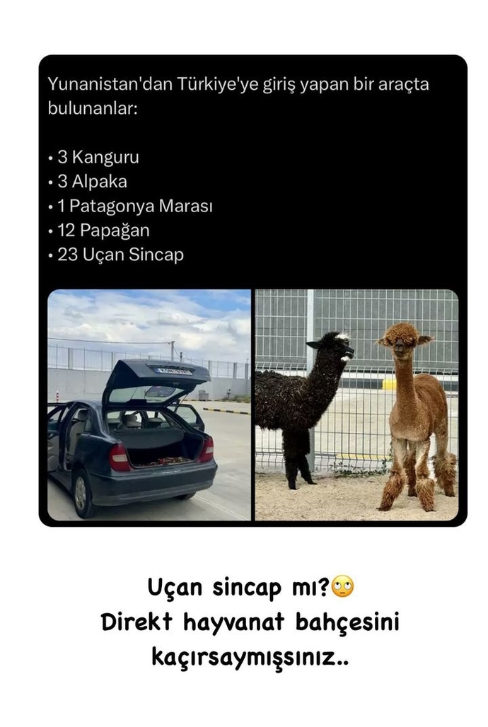 Duyduğunuz en tuhaf hırsızlık olayı neydi?