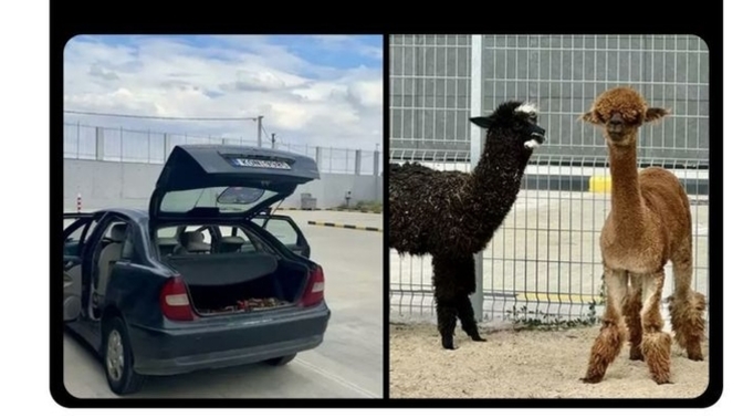 Duyduğunuz en tuhaf hırsızlık olayı neydi?