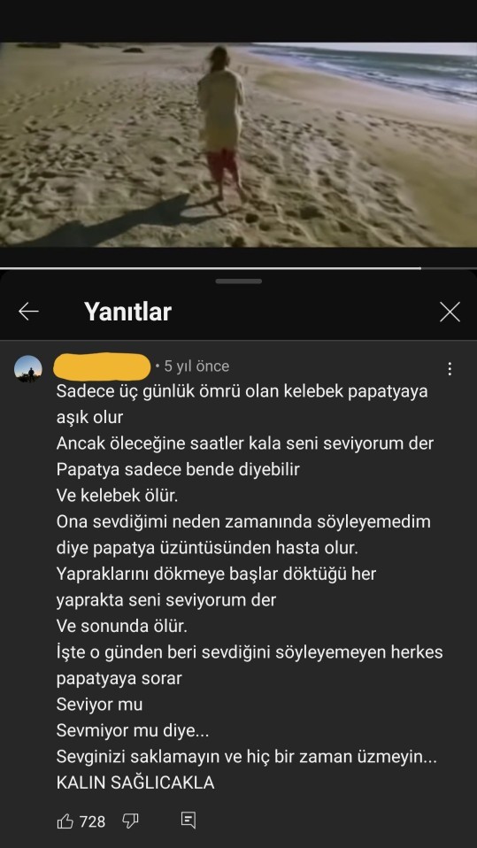 En sevdiğiniz şarkı altı yorumu hangisi?
